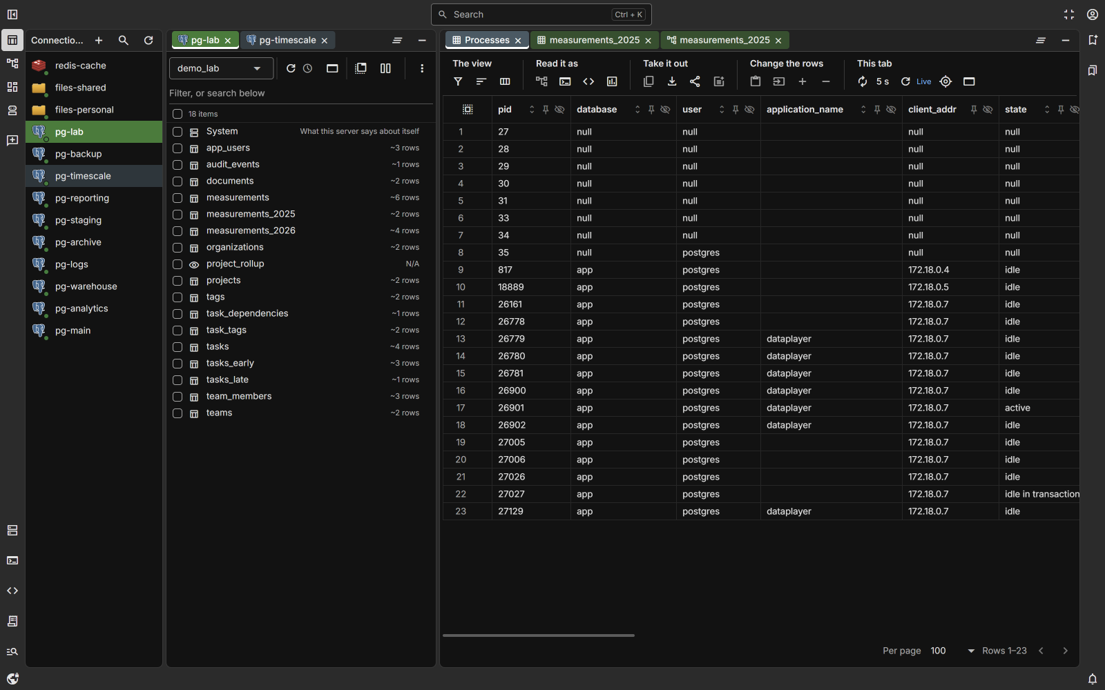 A connection's catalog beside a live grid of rows